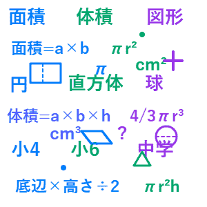 中3 相似と面積比・体積比クイズ
