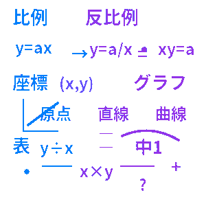 中学1年生 数学 比例反比例クイズ