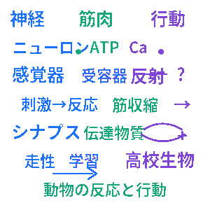 動物の反応と行動 高校生物クイズ
