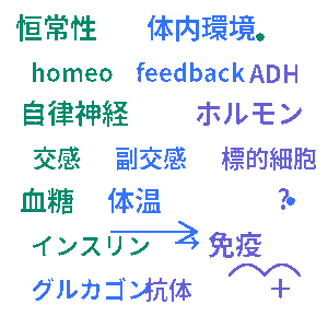 ヒトの体の調節 高校生物基礎クイズ
