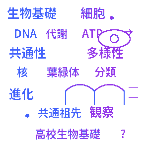 高校生物基礎 生物の共通性と多様性クイズ