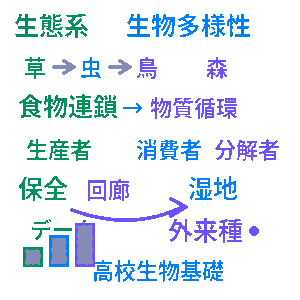 生態系と生物多様性 高校生物基礎クイズ