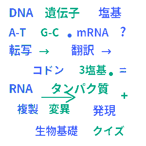 遺伝子とその働き 高校生物基礎クイズ