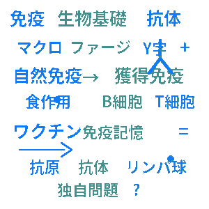 免疫 高校生物基礎クイズ