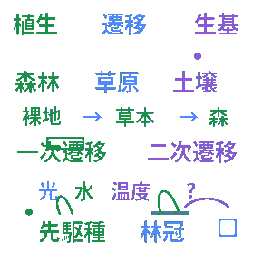植生と遷移 高校生物基礎クイズ