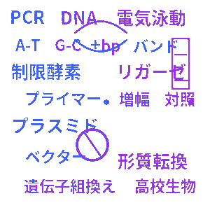 バイオテクノロジー 高校生物クイズ