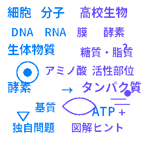 細胞と分子 高校生物クイズ