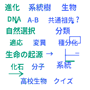 進化と系統 高校生物クイズ