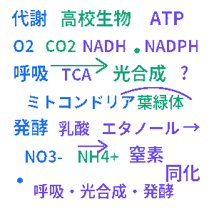 代謝 高校生物クイズ