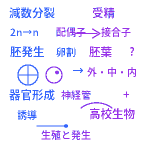 生殖と発生 高校生物クイズ