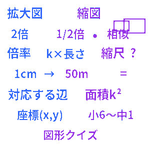 拡大図・縮図クイズ